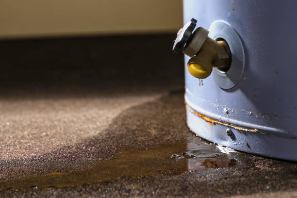 Best Flood damage cleanup  in Newport Beach, CA