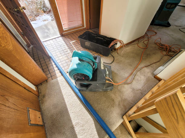 Best Local water damage restoration  in Newport Beach, CA