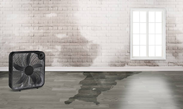 Best Fire Damage Restoration  in Newport Beach, CA