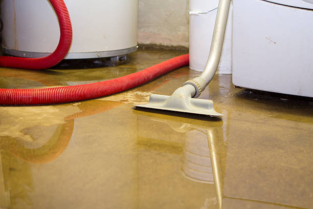 Best Professional water damage repair  in Newport Beach, CA