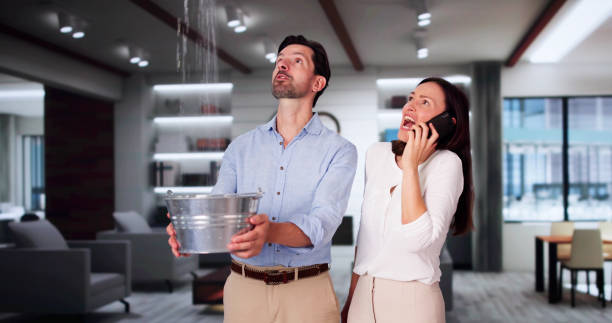 Best Water damage restoration near me  in Newport Beach, CA