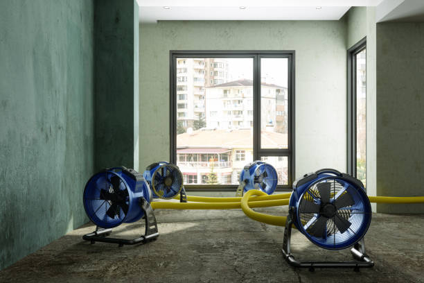 Best Basement water damage restoration  in Newport Beach, CA