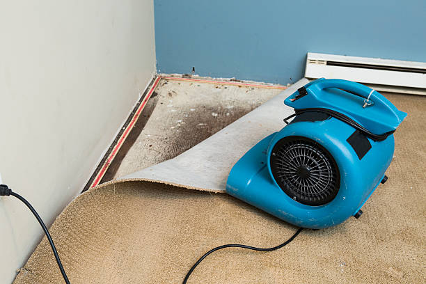 Best Sewage cleanup and water damage restoration  in Newport Beach, CA